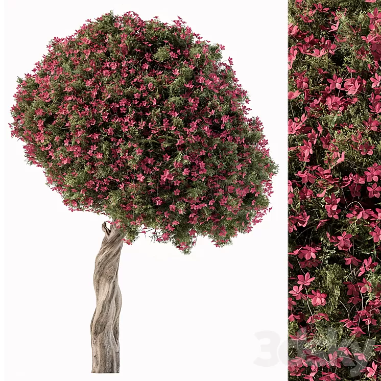 Flower Tree - Set 104 3D Model Free