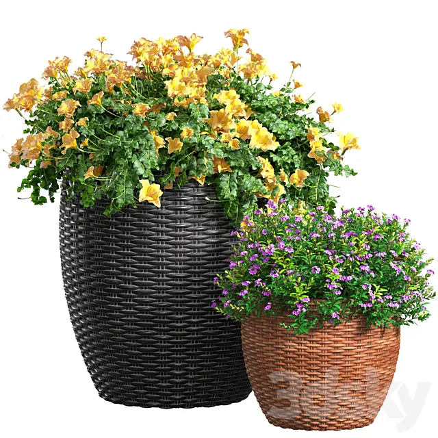 Flowerbed in a garden pot.Flowers Garden Plant Flowerpot Patio Balcony in Provence style 3D Model