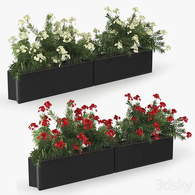 Flowerbed Nerium 3D Model