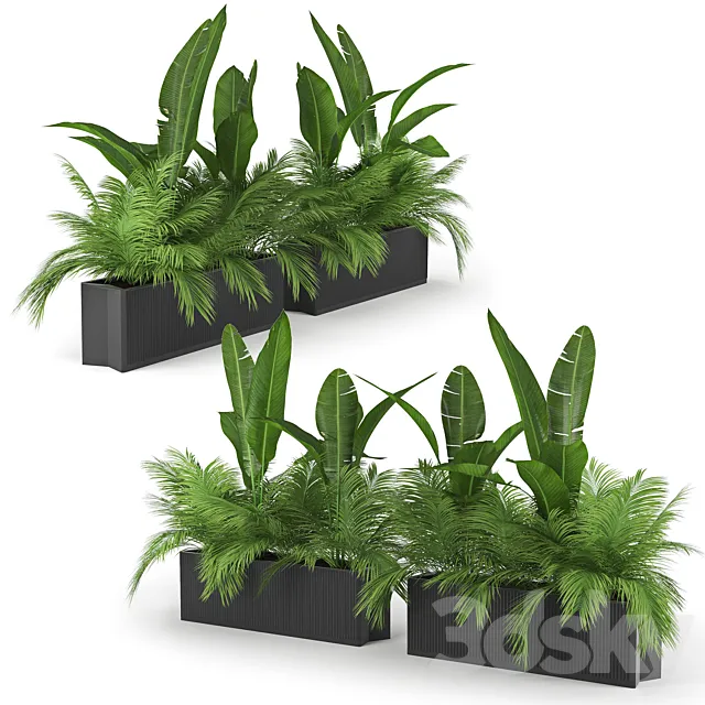 Flowerbed Palm Two 3DModel