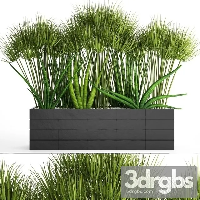 Flowerbed With Plants 3D Model Free