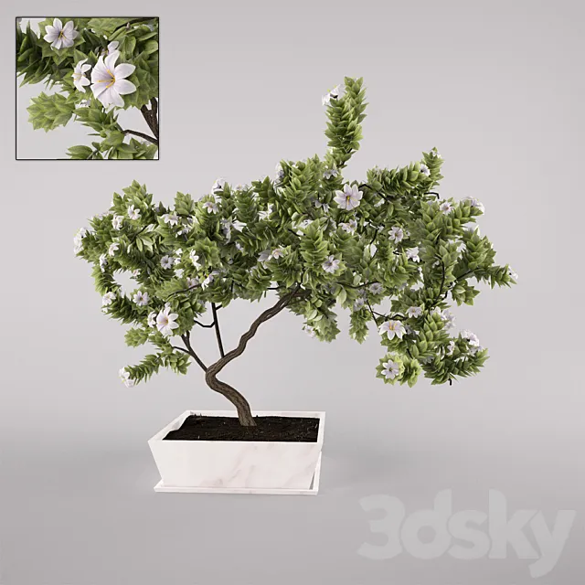 flowering tree 3D Model