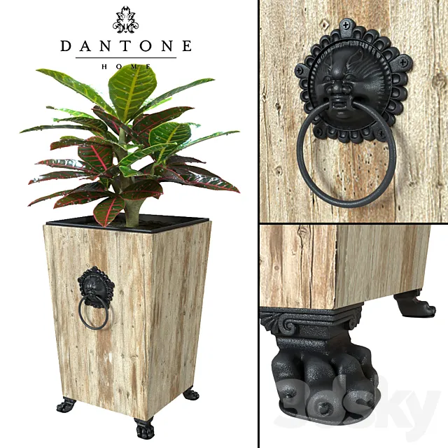 Flowerpot by Dantone Home + codiaeum (perezalivka) 3D Model