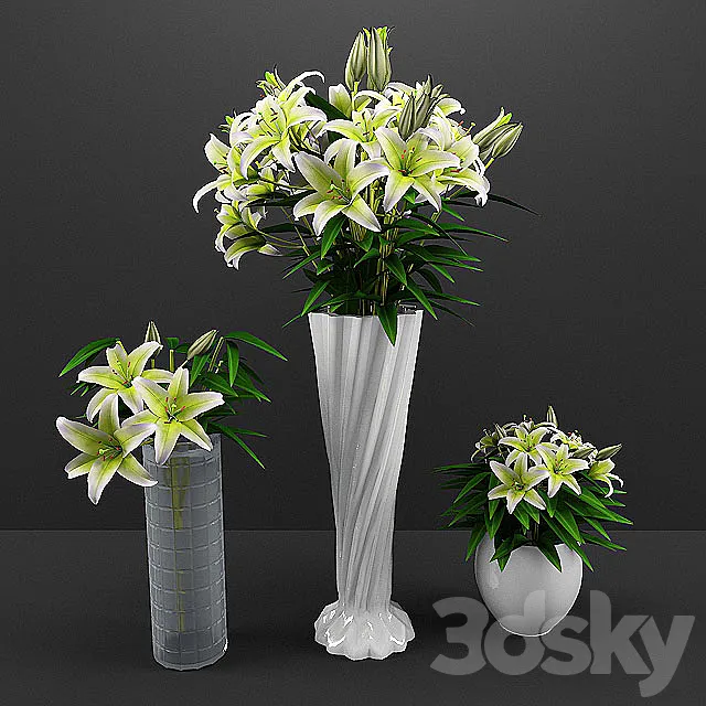 flowers 3D Model