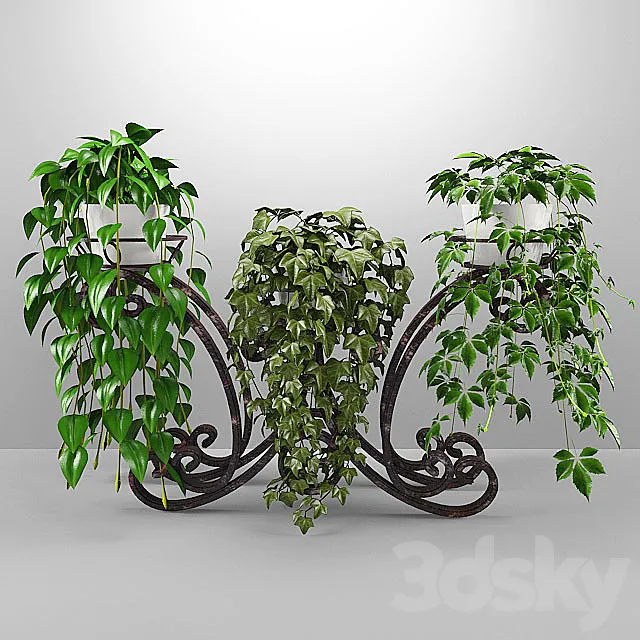 flowers 3DModel