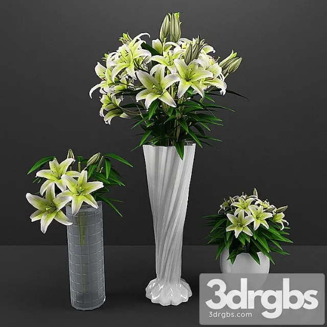 Flowers 40 3D Model Free
