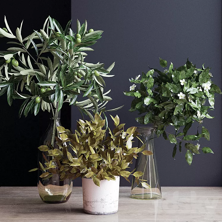 Flowers branch 3 3D Model