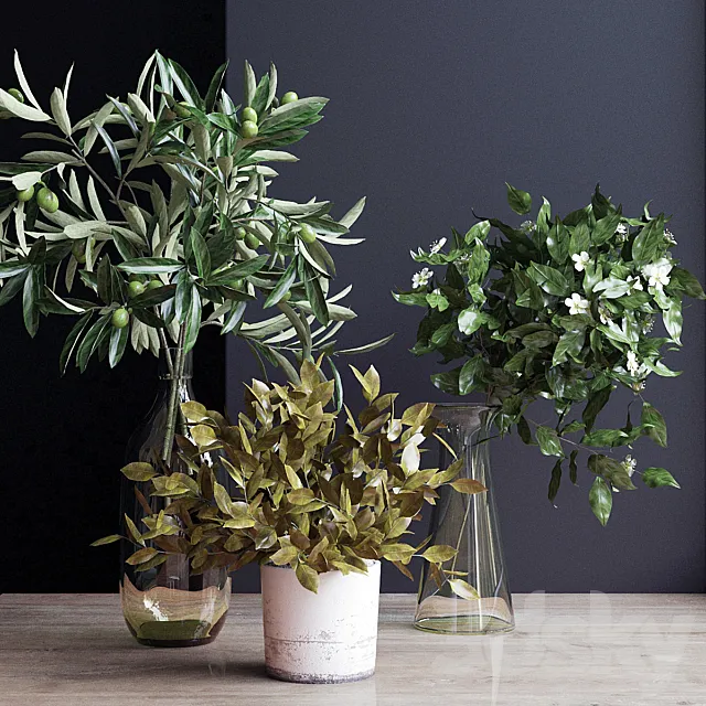 Flowers. branch 3 3DModel