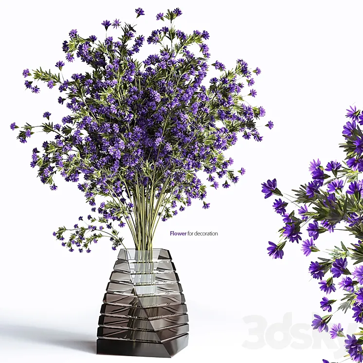 Flowers for decoration 3D Model Free