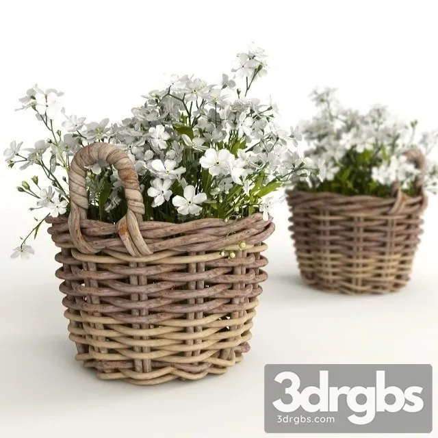 Flowers in a basket 3D Model Free