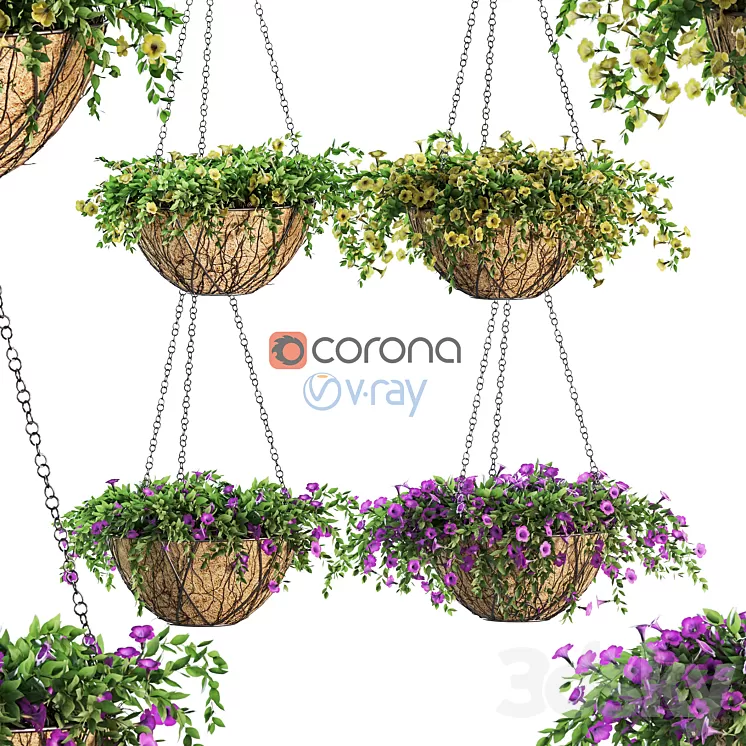 Flowers in a flower pot on a chain. Petunia. 4 models 3D Model