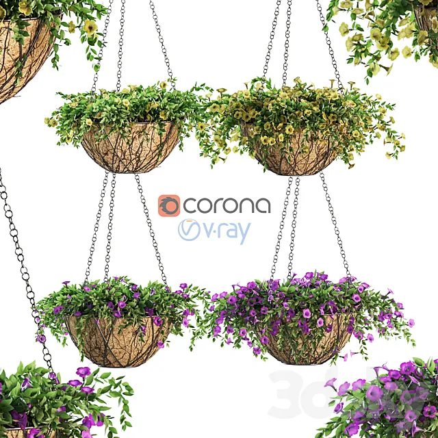 Flowers in a flower pot on a chain. Petunia. 4 models 3DModel