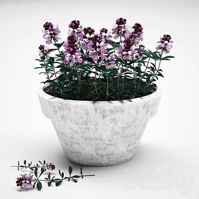 Flowers in a pot 3DModel