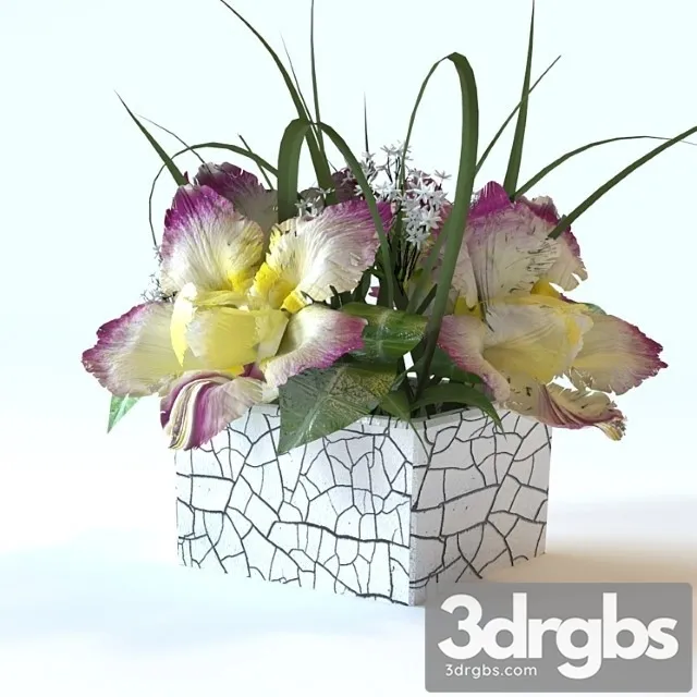 Flowers in a Square Vase 2 3D Model Free