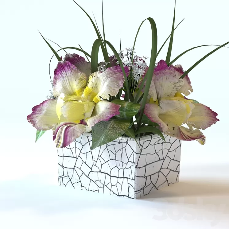flowers in a square vase 3D Model
