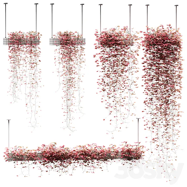 Flowers on the shelves. 5 models 3DModel