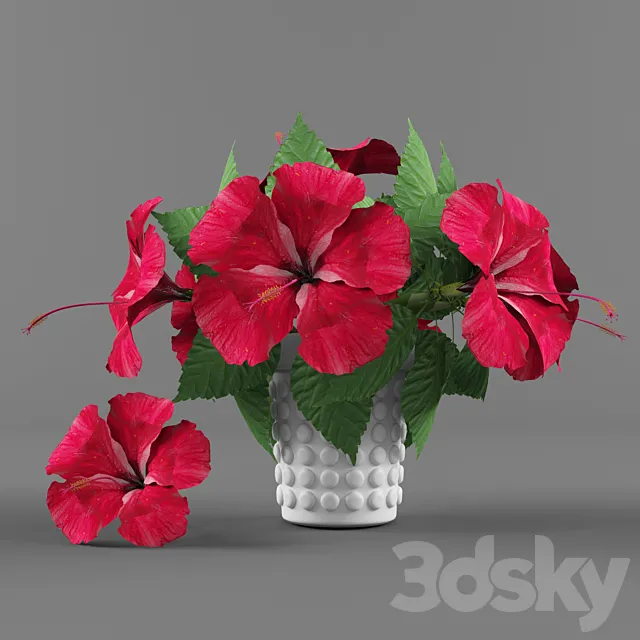 Flowers vase and Hibiscus 3D Model
