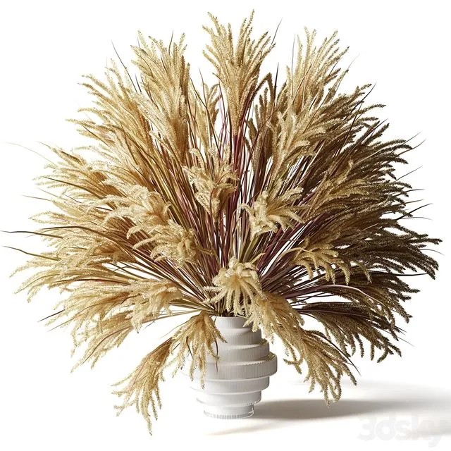 Fluffy bouquet of dry grass with tails in a glass white vase 3D Model
