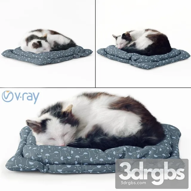 Fluffy Cat 3D Model Free