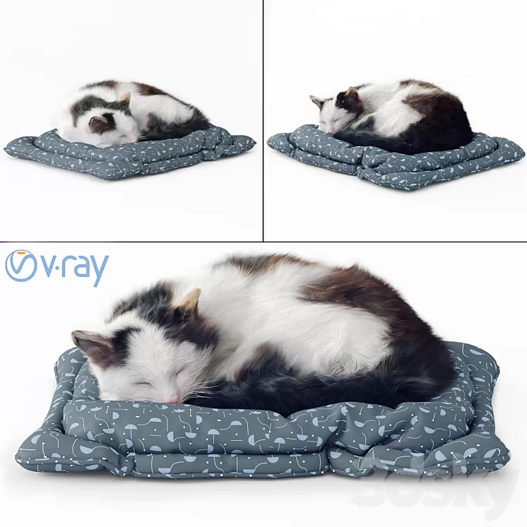 Fluffy cat 3D Model