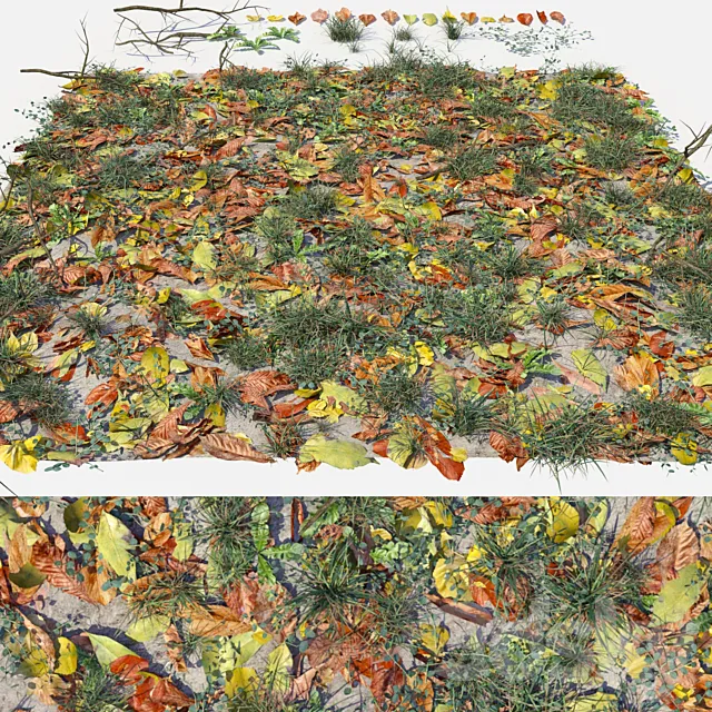 foliage 3D Model