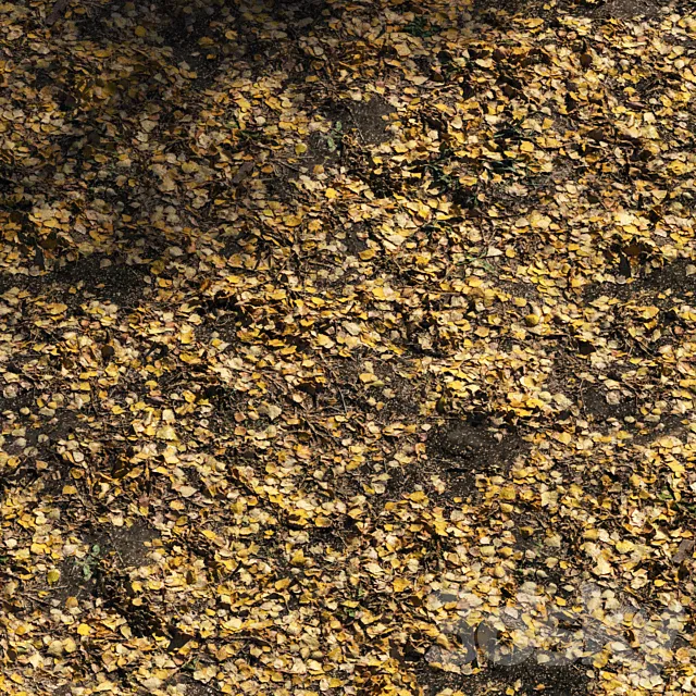 Foliage Autumn 3D Model