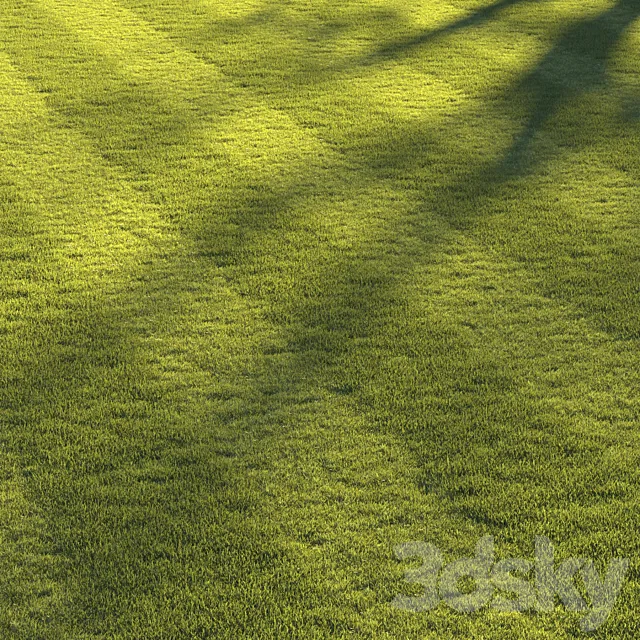 Football pitch lawn 3D Model