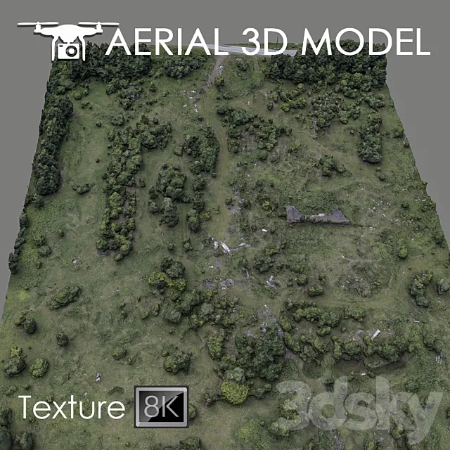 Forest 60 3DModel