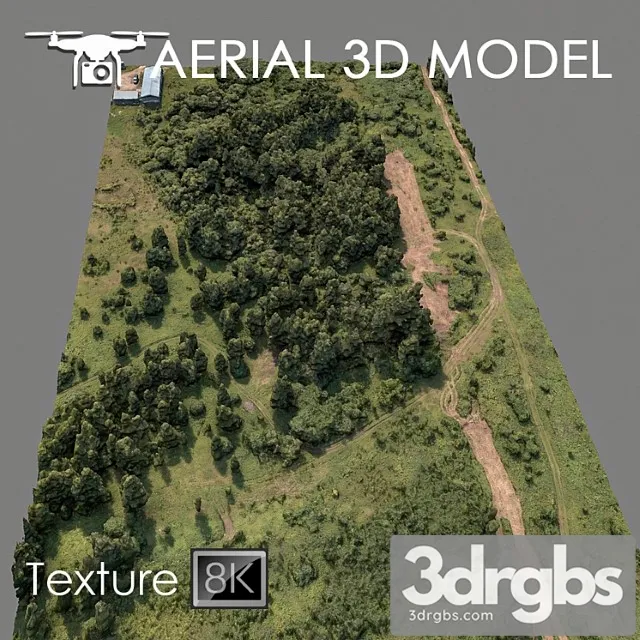 Forest 75 3D Model Download