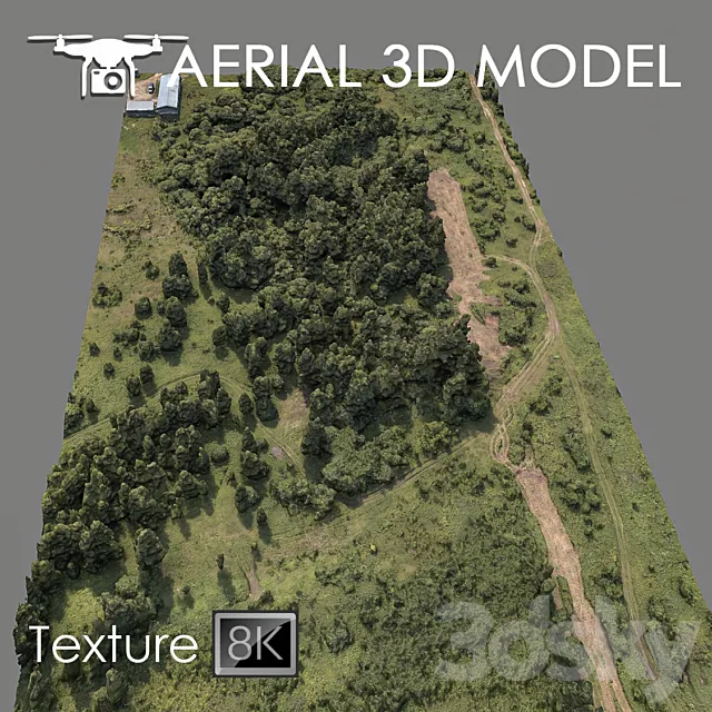 Forest 75 3DModel