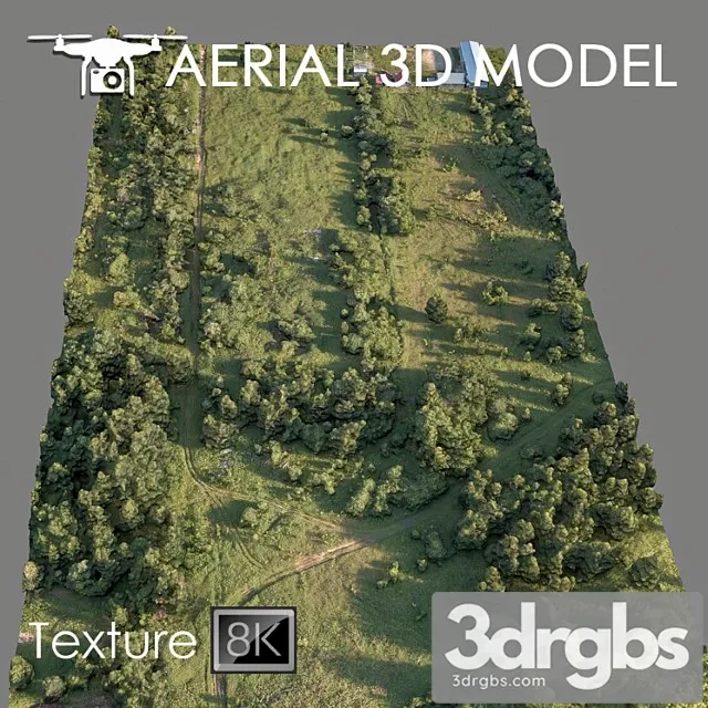 Forest 78 3D Model Download