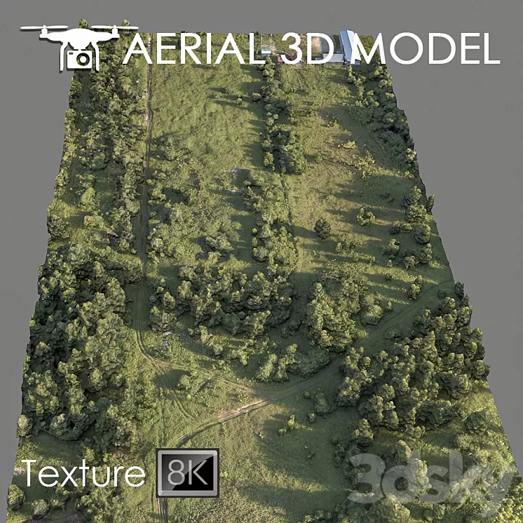 Forest 78 3D Model