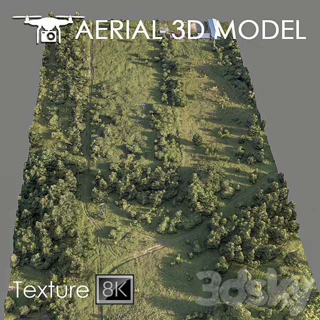 Forest 78 3DModel