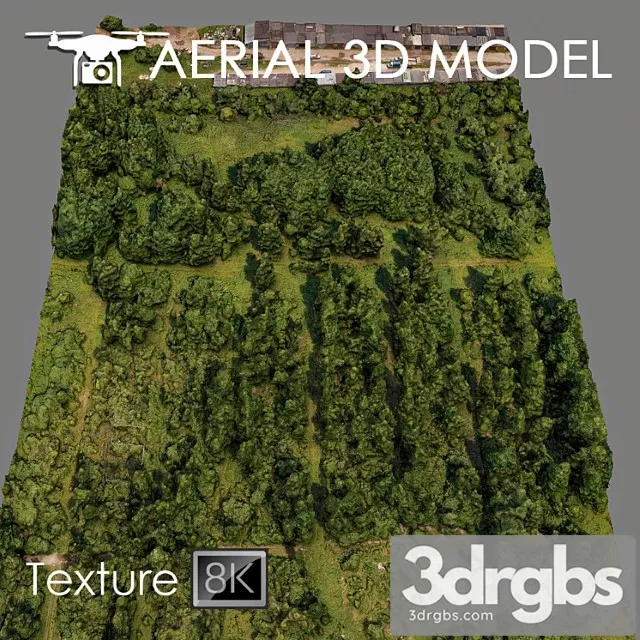 Forest 81 3D Model Download