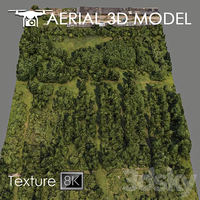 Forest 81 3DModel