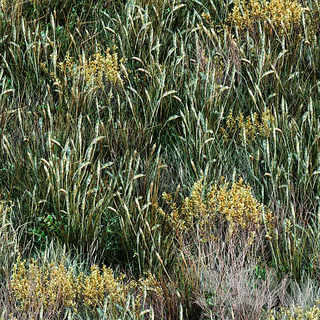 Forest grass 001 3D Model