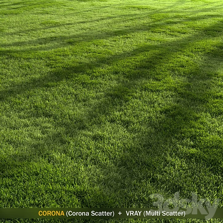 Forest Grass 2 3D Model Free
