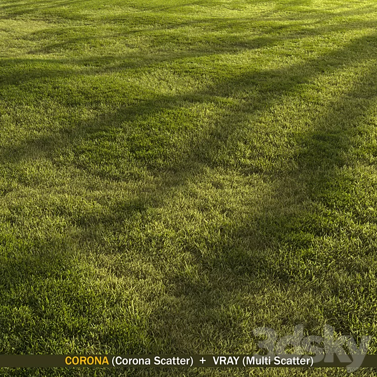 Forest grass 3D Model Free