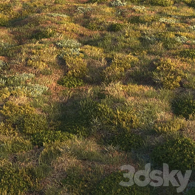 Forest grass 3D Model