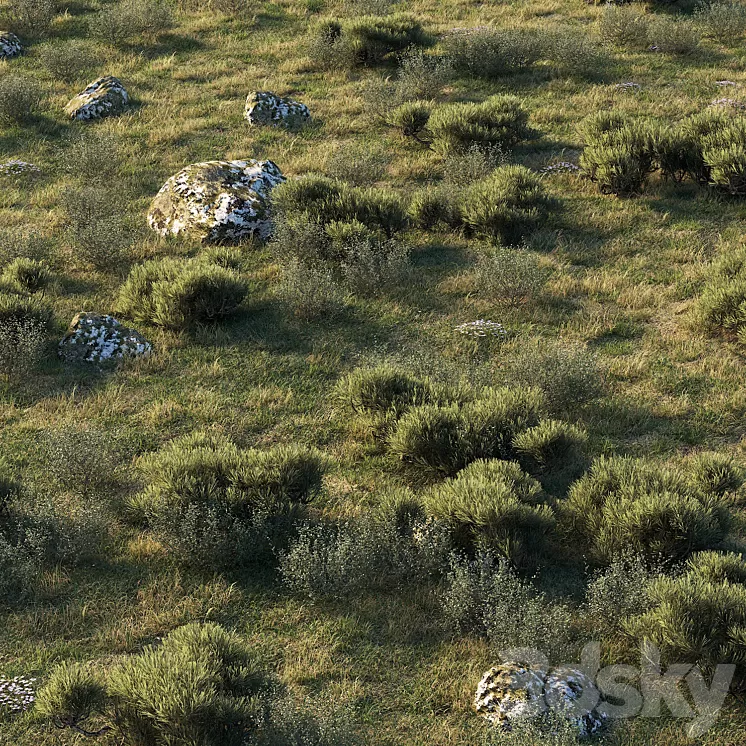 forest landscape 3D Model Free