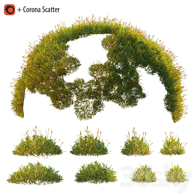 Forest Moss 2 3D Model
