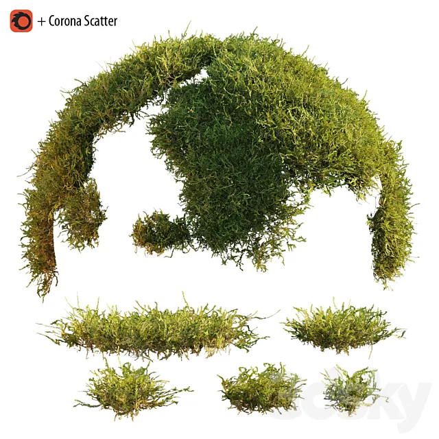 Forest moss 3D Model