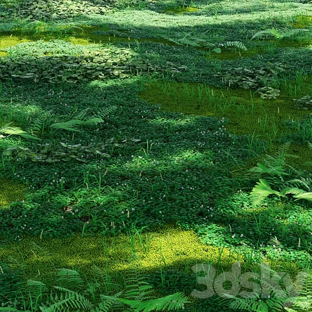 Forest plants 3D Model