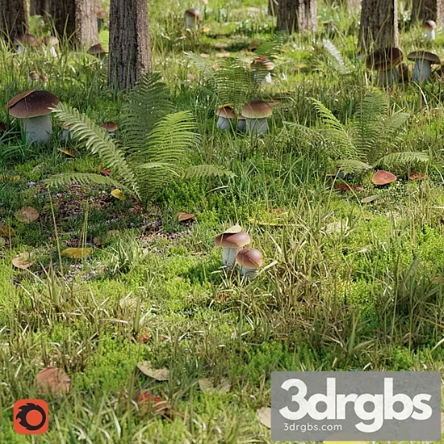 Forest Set 3D Model Free