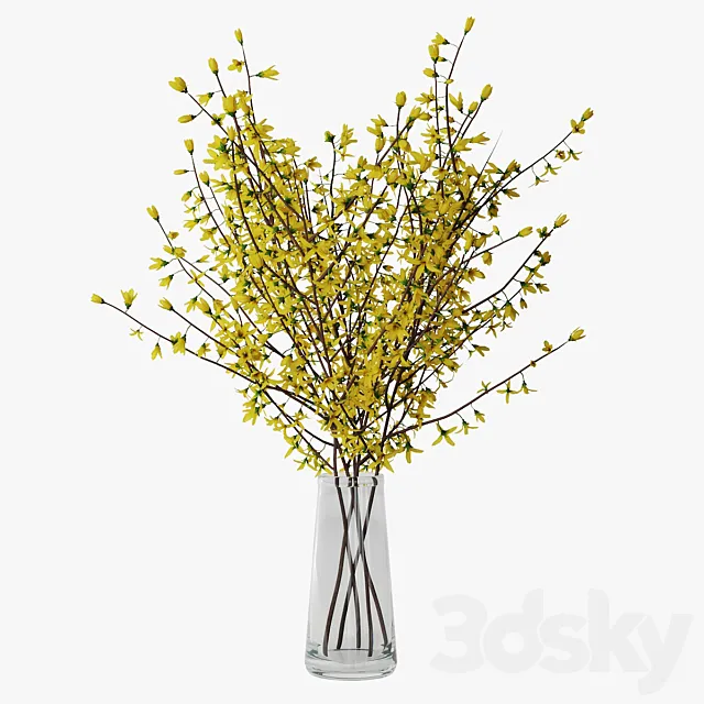 Forsythia 02 3D Model