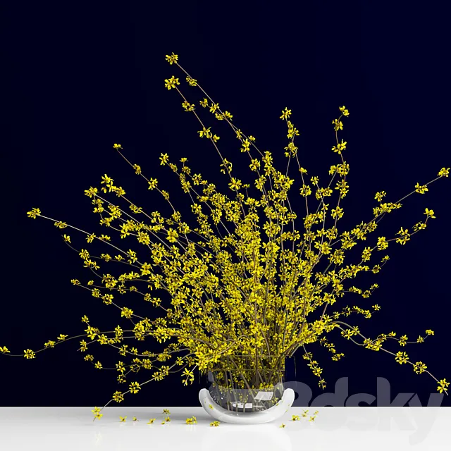 Forsythia _ Forsythia 3D Model