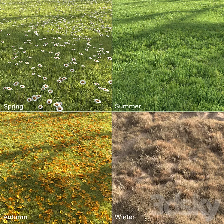 Four seasons grass 3D Model Free