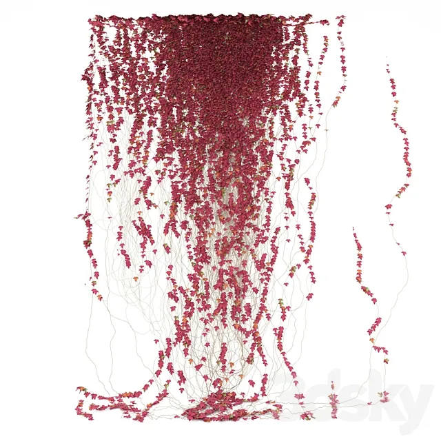 Fragment of red ivy Red Ivy 3D Model