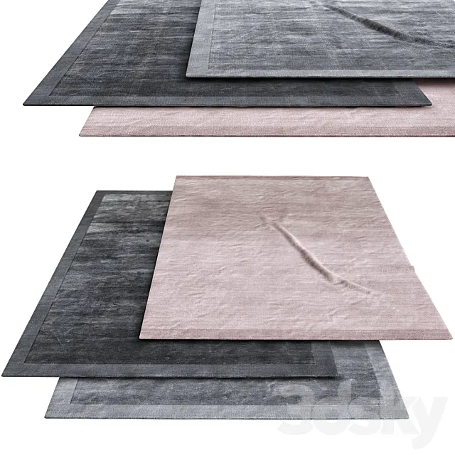 Frame Carbone rugs 3D Model