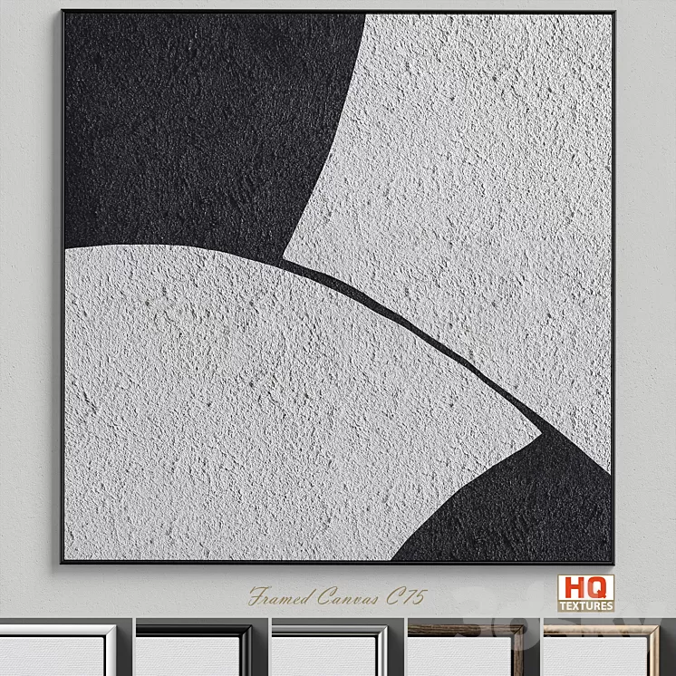 Framed Canvas C-75